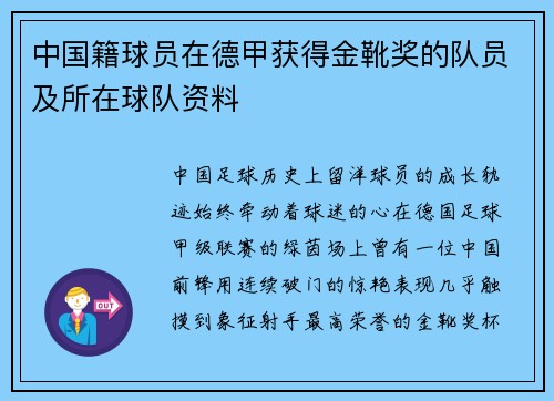 中国籍球员在德甲获得金靴奖的队员及所在球队资料